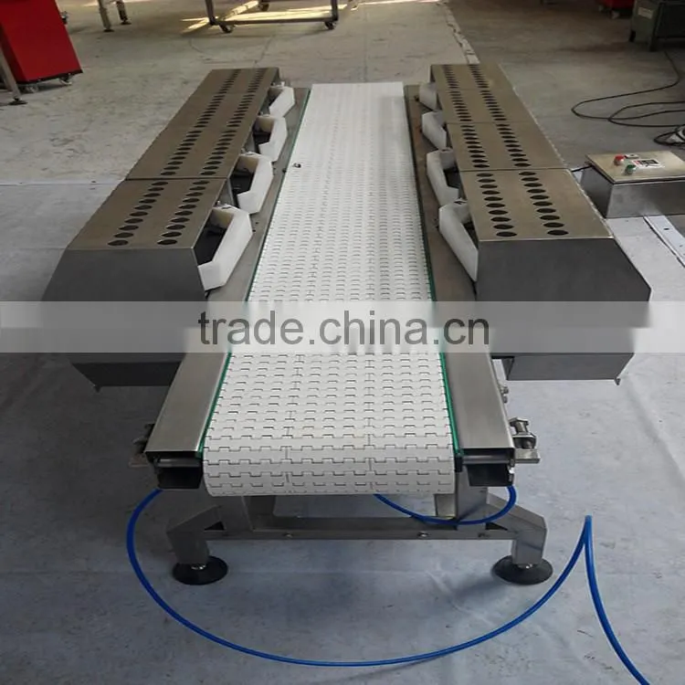 modular belting conveyors system for production line with stainless steel