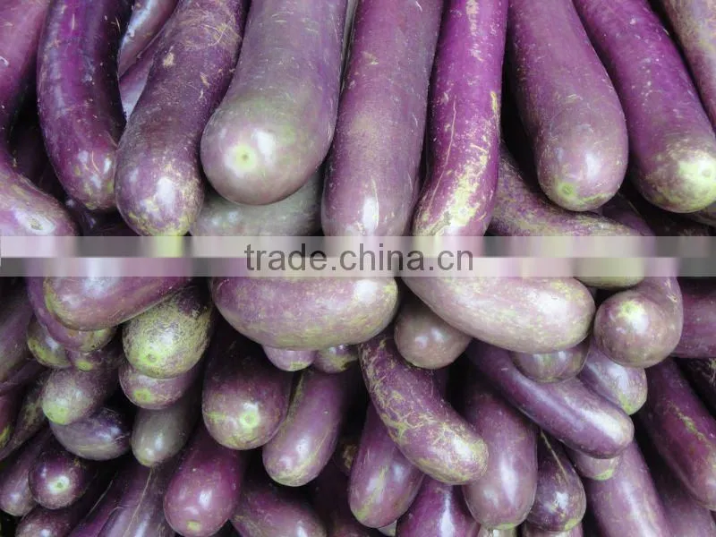 Fresh Vegetables