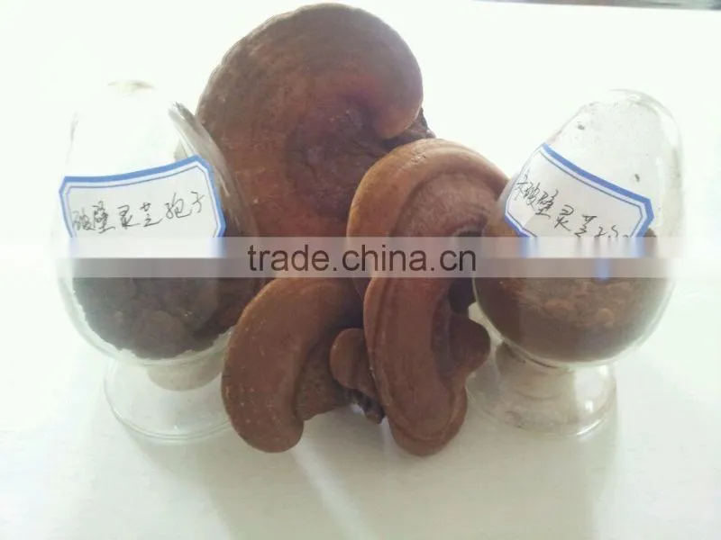 New arrival customized herb grinder herb grinding mill