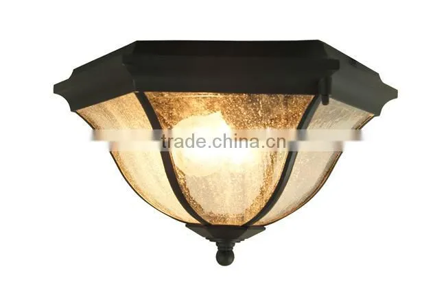2015 Ceiling is special pendant lighting (5615)