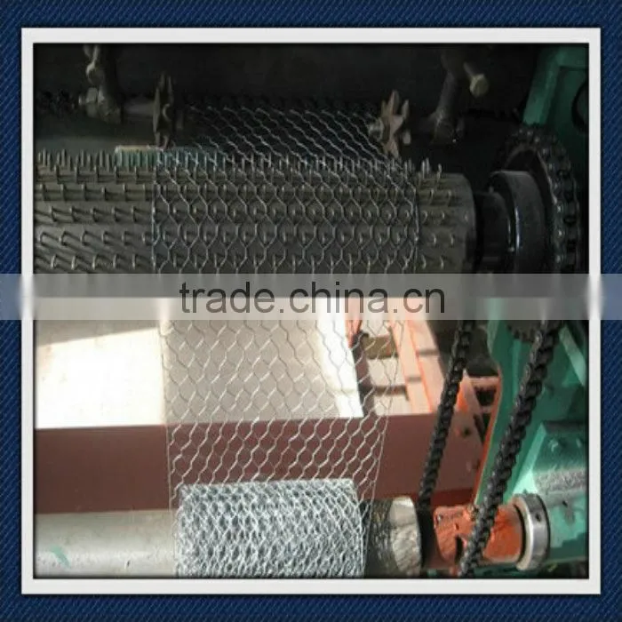 Stainless Steel Hexagonal Wire Netting/fence netting/weaving wire netting/hexagonal wire mesh/Stainless Steel wire mesh