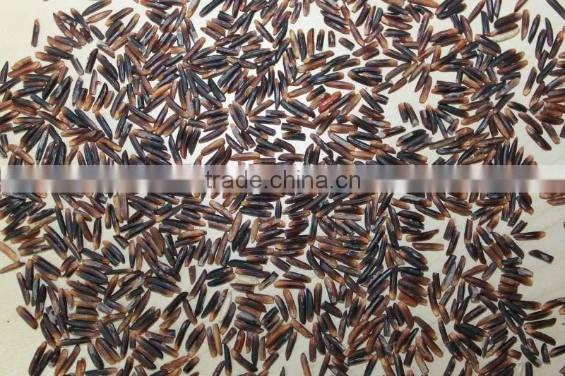 VIETNAM ORGANIC PURPLE RICE