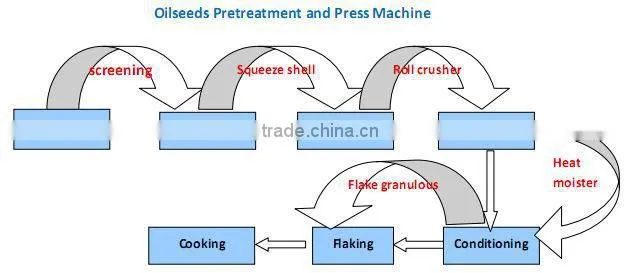 High efficiency machine for extract vegetable oil