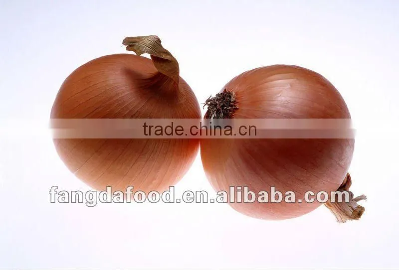 fresh yellow onion(in low price)