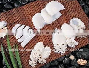 Cephalopods Seafood Fresh Squid