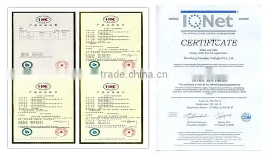 Powder Organic Bacterial Fertilizer