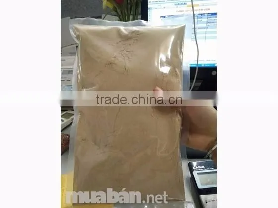 Hot sale competitive price new harvested young ginger