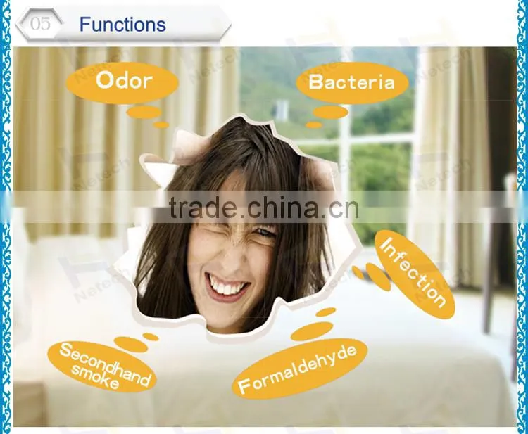 2G - 6G Portable Ceramic Ozone Tap Equipment / high working rate