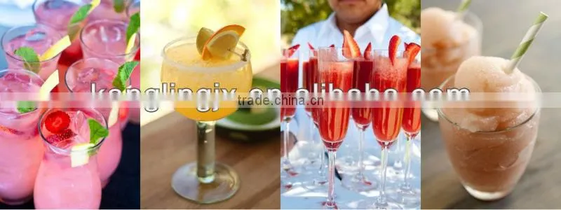 12L Commerical Use Slush Machine