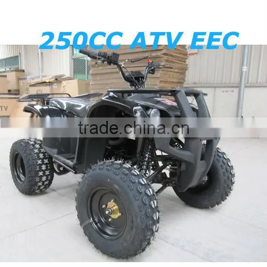 110cc/125cc atv,quads for sale,cheap atv quad dune buggy military vehicles(JLA-11-2)