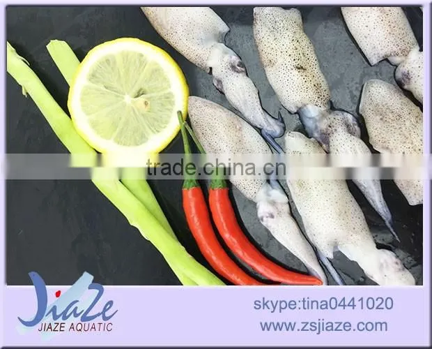 frozen seafood baby squid