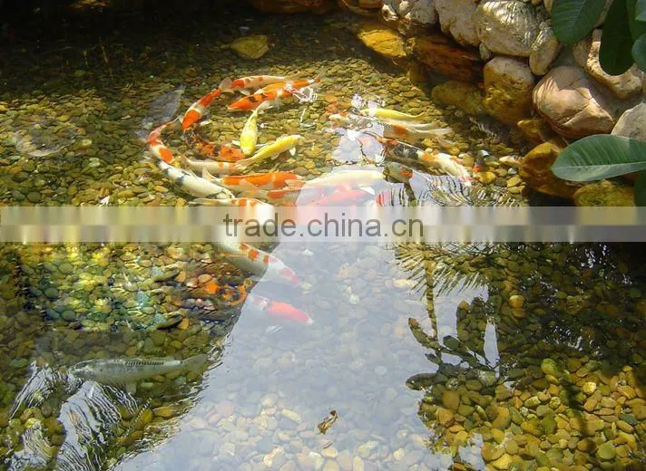 Pond bio-filter(YT-9000)