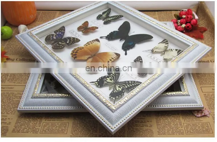 Real Butterfly Mounted in Frames - Decoration & Gifts
