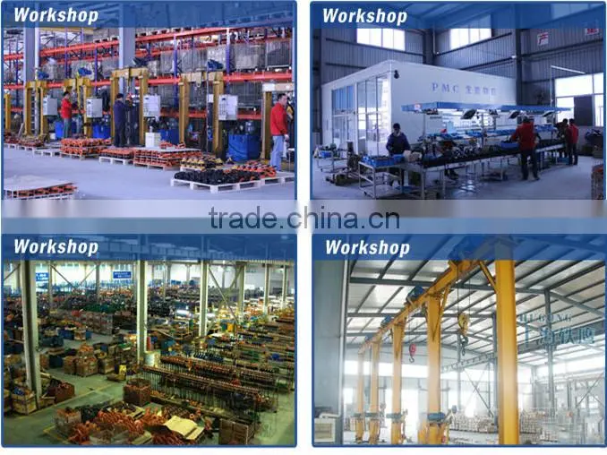 Alibaba trade assurance PA500 electric mini crane 500kg