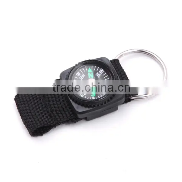 Polyester mini compass