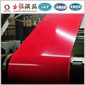 Shandong Liqiang Steel Plate Co.,Ltd company overview - view 1