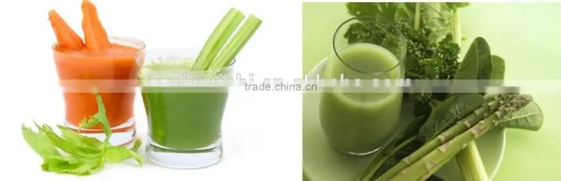 (Skype/Wechat: hnlily07) 1.5Ton Per Hour Commercial Lemon Juice Press Machine