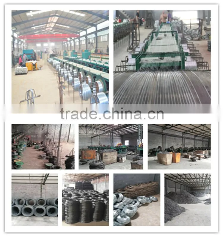 high qulaity low price stainless steelconcrete nail from concrete steell nail factory