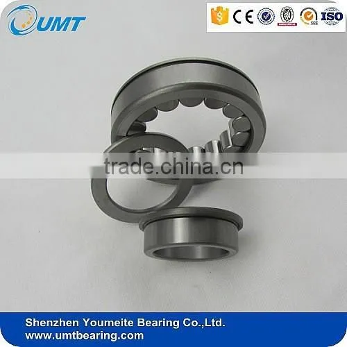 Good Price and Quality Cylindrical Roller Bearing NU203 NU 303
