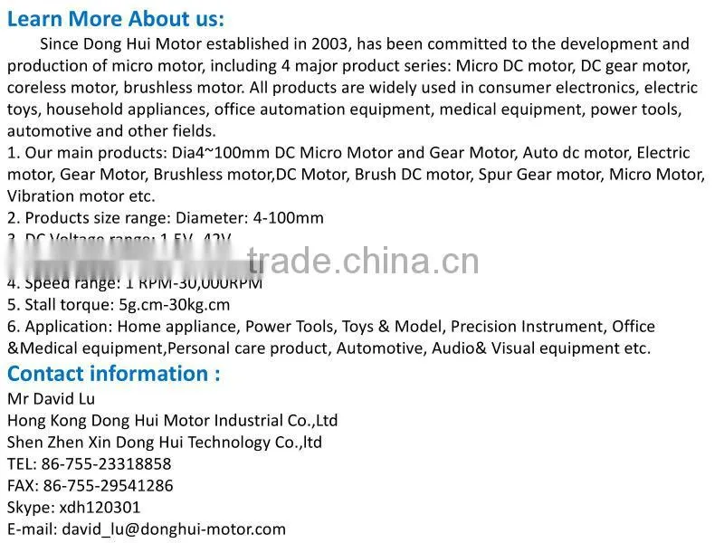 High Voltage Brushed Magnetic Motor