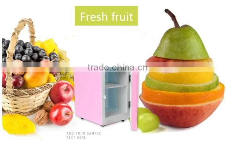 Low consumed easy to carry 4L car Refrigerator