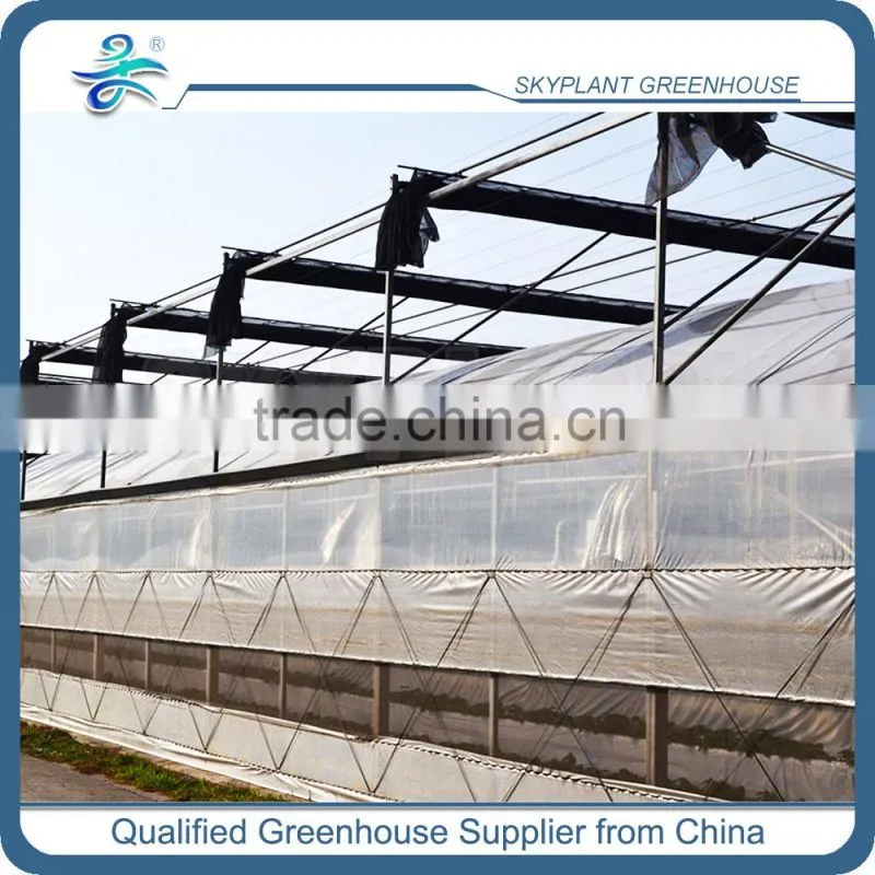 PE Film Plastic Horticultural Green house