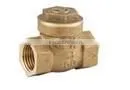 SWING CHECK VALVE 1