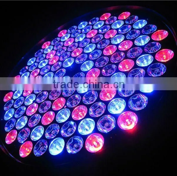 120x3W RGBW wall wash stage led par light