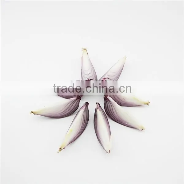 Wholesale price stainless steel green onion cutter