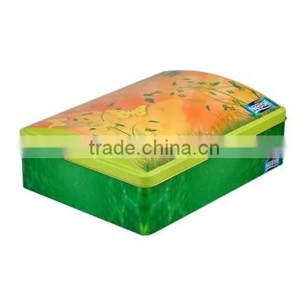 customized exquisite House shaped tin box for food, house shape tin case for gift