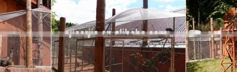 stainless steel bird aviary cage netting mesh