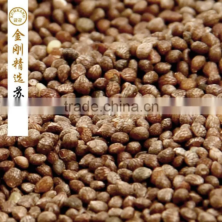 Brown Perilla Seeds for oil/china periiia oil
