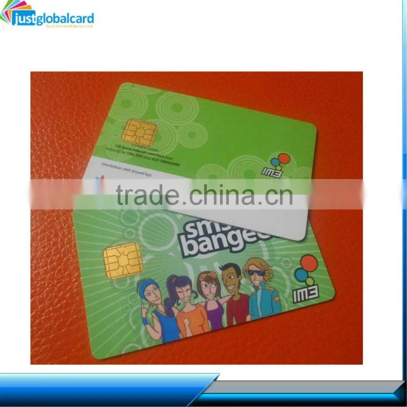 PVC novelty Contact Smart Card