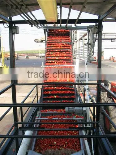 turnkey project of tomato paste production machinery