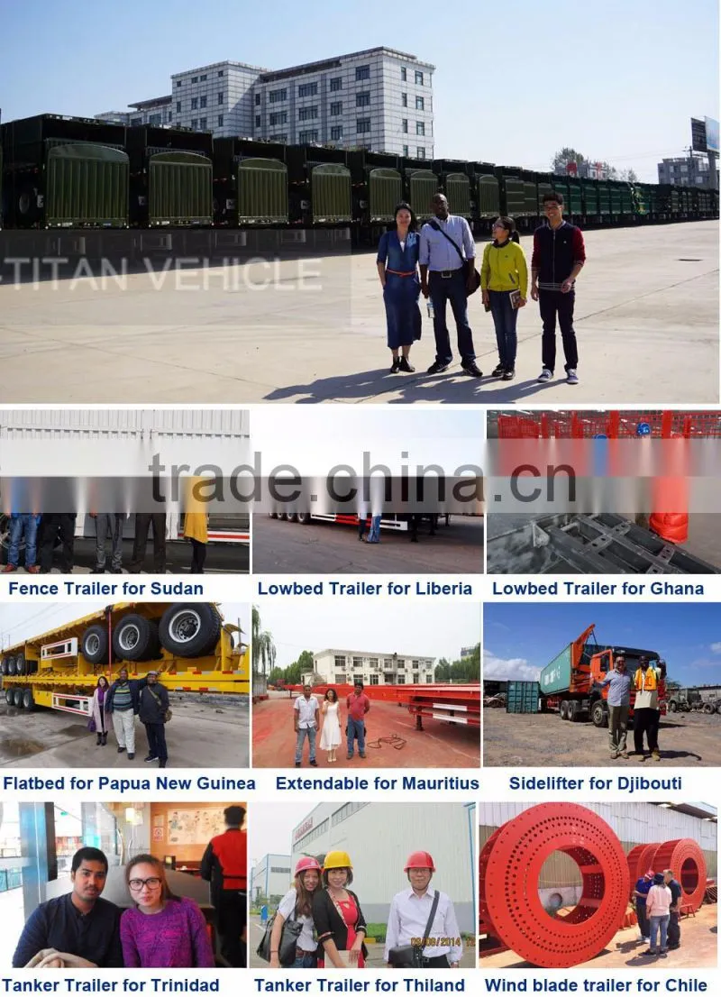20ft semi trailer container lift, 20ft container lift trailer,20FT Side Lifter Loader Chassis Truck Trailer