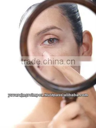 Turmeric Powder Price