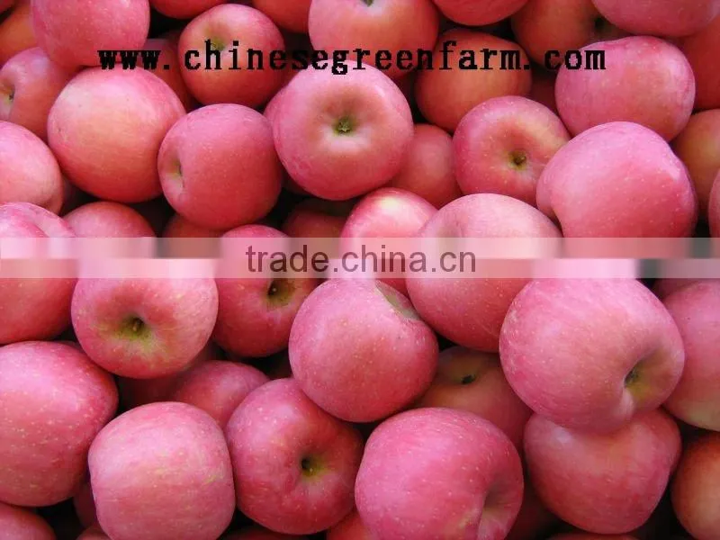 red fuji apple