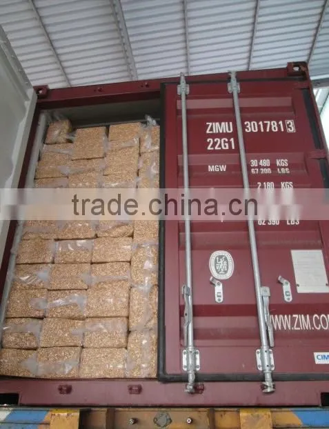 Favorable price of raw cashew nut