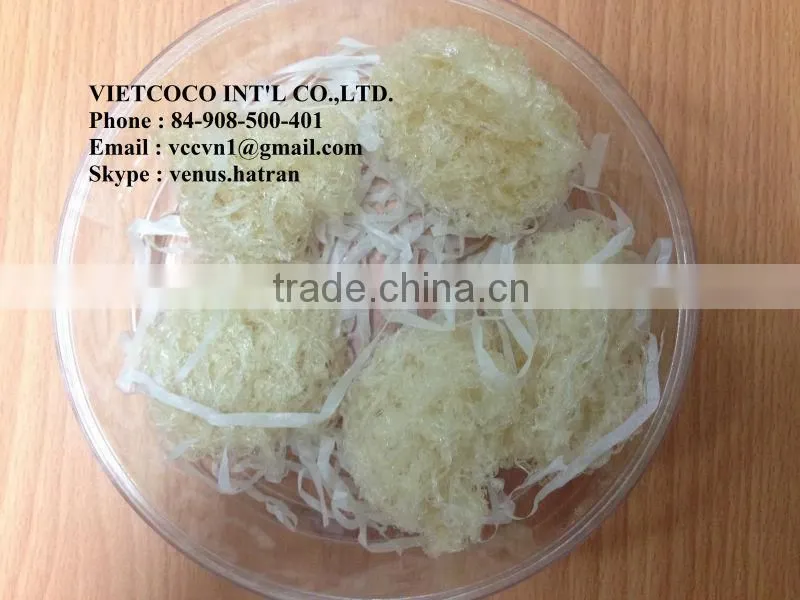 BIRD NEST