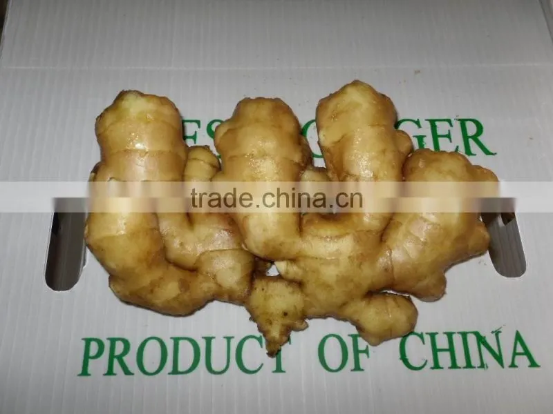 Fresh Washed Ginger
