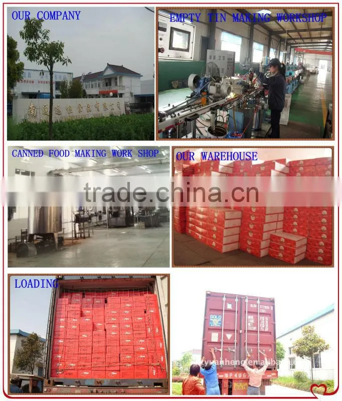 70G-4500G China Hot Sell Canned tomato paste,tomato sauce glass bottle