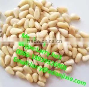 pine cone peeler machine/pine cone skin peeling machine/automatic pine cone peeler
