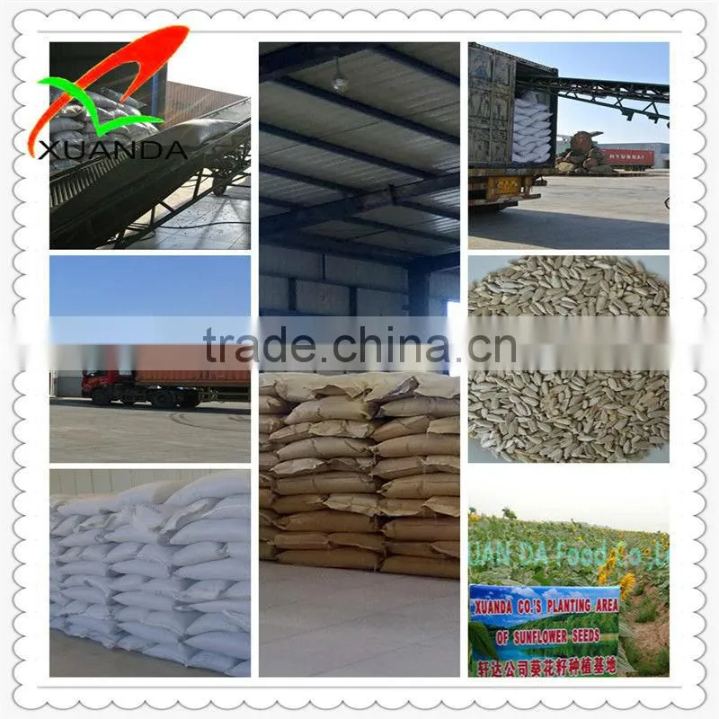 sunflower seed kernels for bakery & confectionary from China