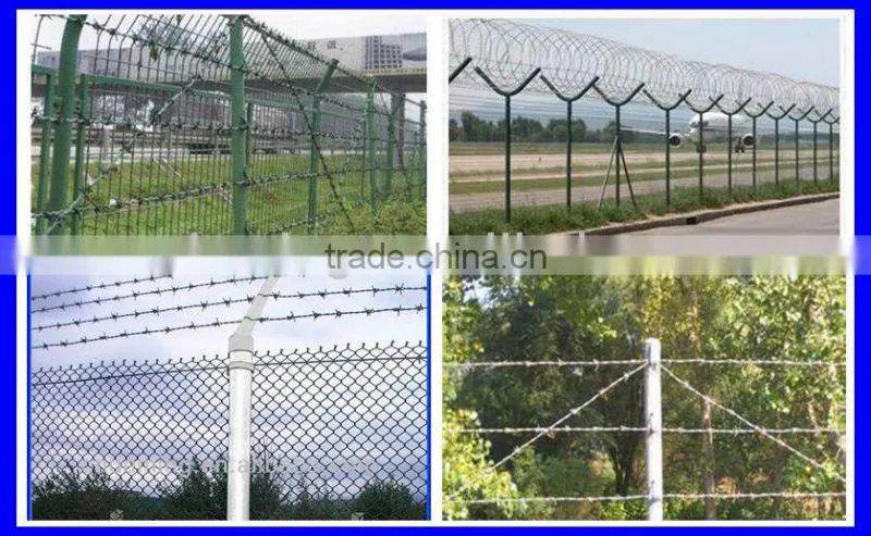 sharp razor barbed wire