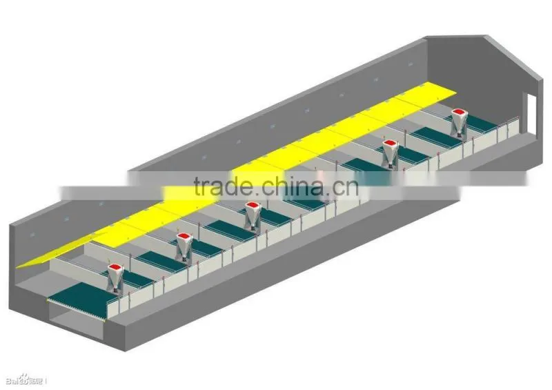 Pig Equipment pig farming systemfor Pigs