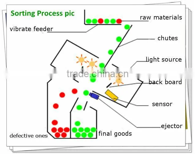 Hot Sales! Peanuts Color Sorter Machine Sorting Machine