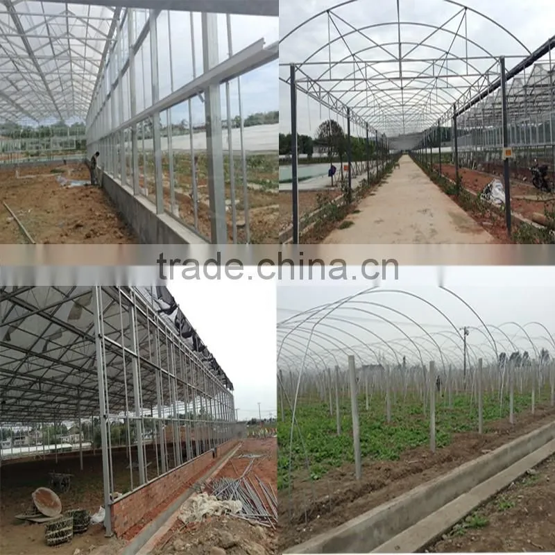 Multi-span tunnelgreenhouse for vagetable and fruits