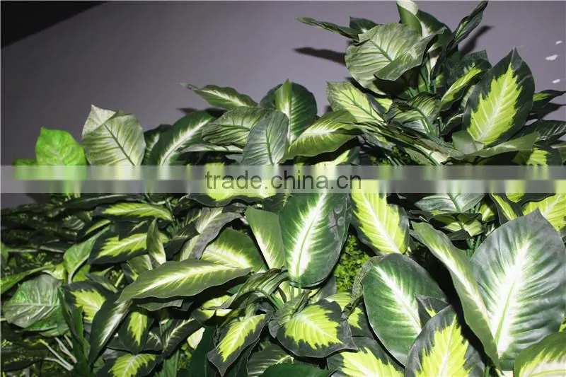 stickers home garden deco 200*200 cm indoor or outdoor artificial corner succulent green climbing plant wall Ezwq10 106