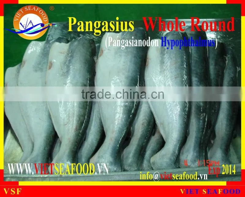FROZEN W/R PANGASIUS
