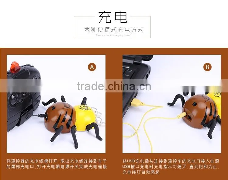 Wholesale toy rc climb wall animal spider king climb wall spider